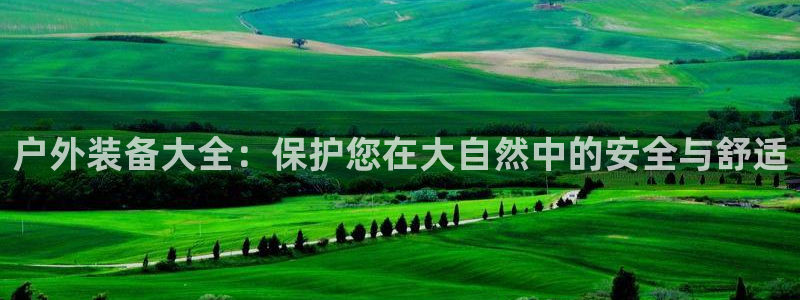 新宝gg是什么