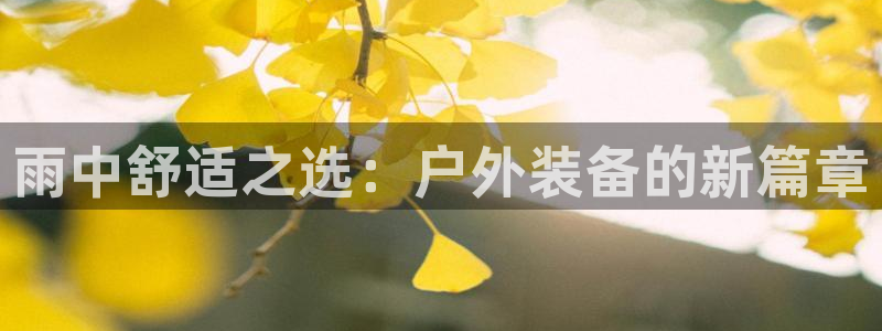 新宝gg官网