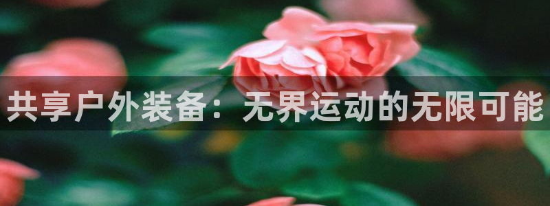 新宝gg娱乐上皇巢网
