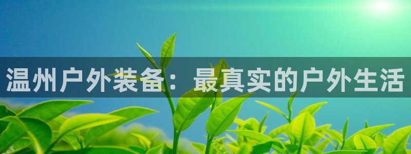 新宝gg平台反水