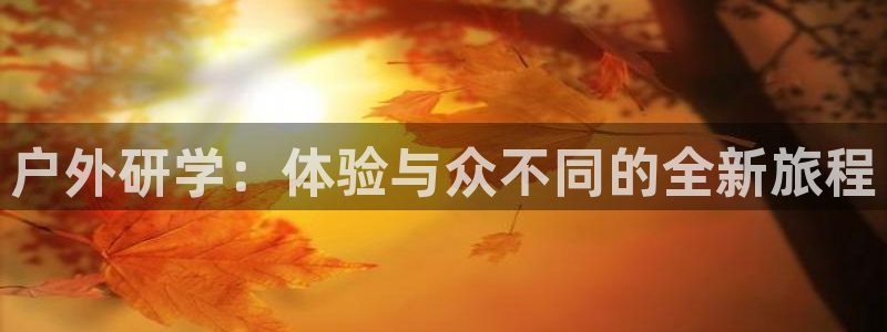 新宝gg娱乐登录地址