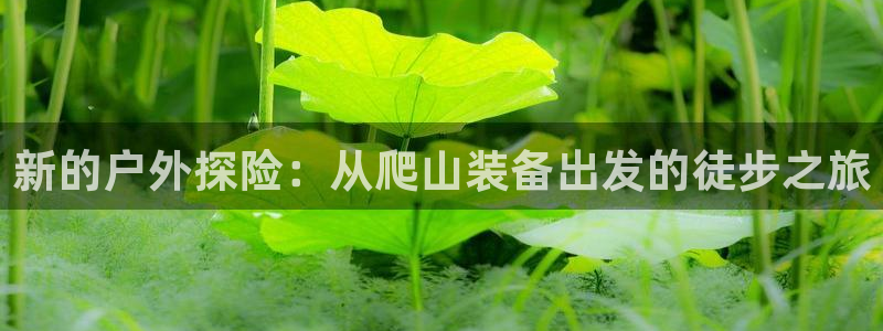 新宝gg娱乐-上鼎狐网