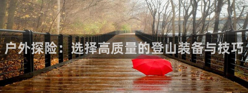 新宝gg开奖
