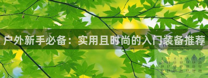 新宝gg ios下载