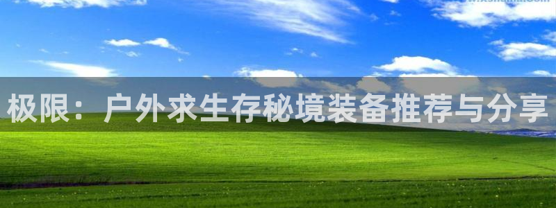 新宝gg网娱乐