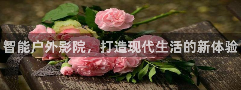 新宝GG管理