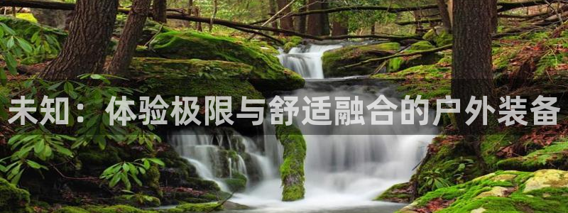 新宝gg代理条件