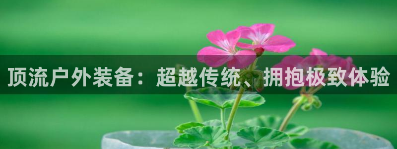 新宝GG股东