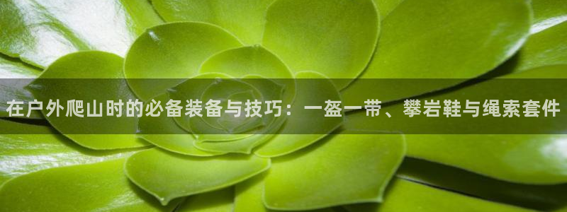 新宝GG都有哪些计划