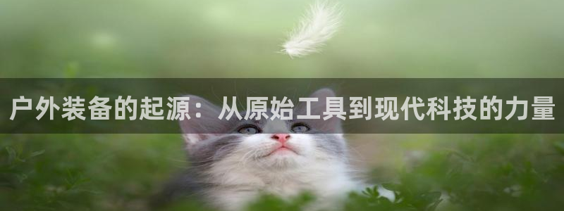 新宝gg怎么开户