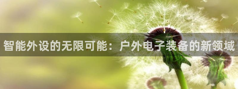 新宝gg主管开