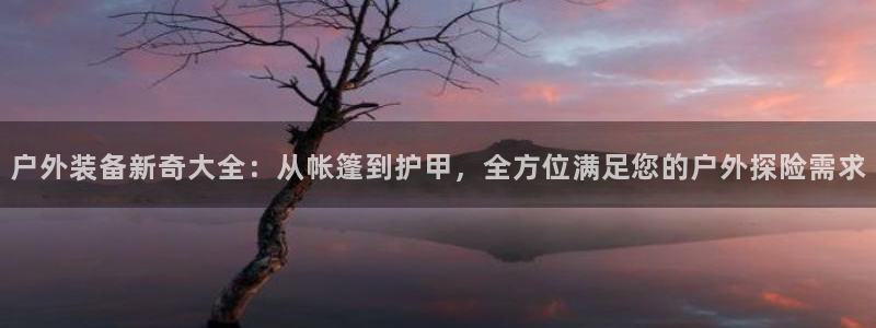 新宝gg招商