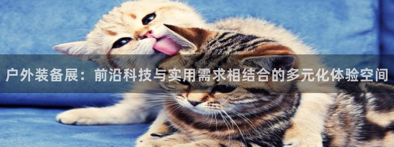 创造奇迹新宝gg