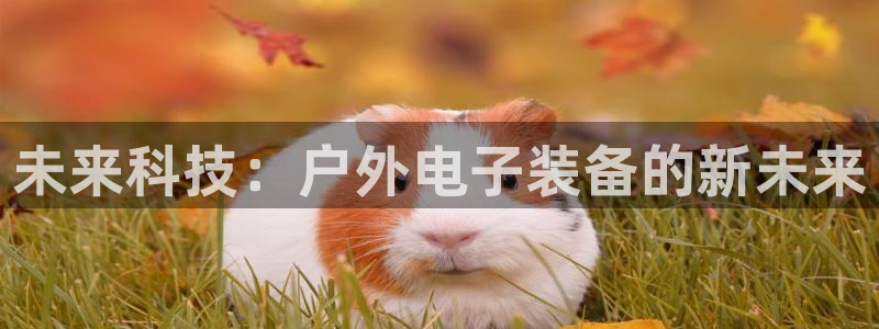 新宝gg注册首页