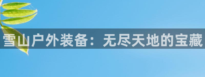 新宝gg平台下载安装