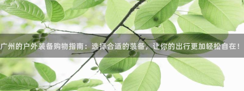 新宝gg开户
