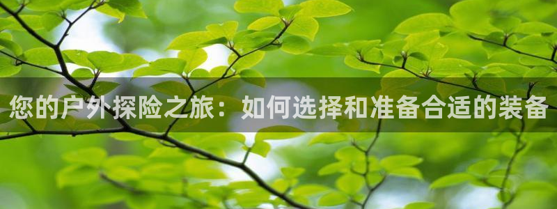 新宝gg类似