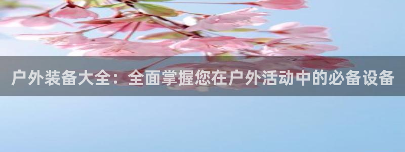 新宝gg开