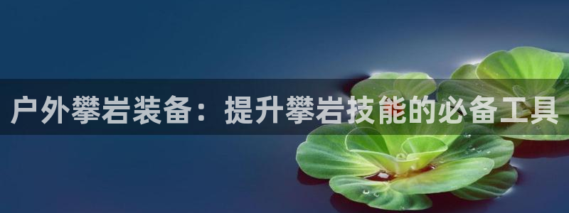 新宝gg龙虎规则
