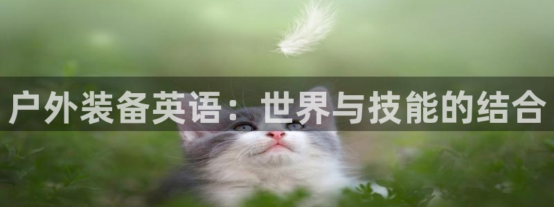 新宝gg是什么