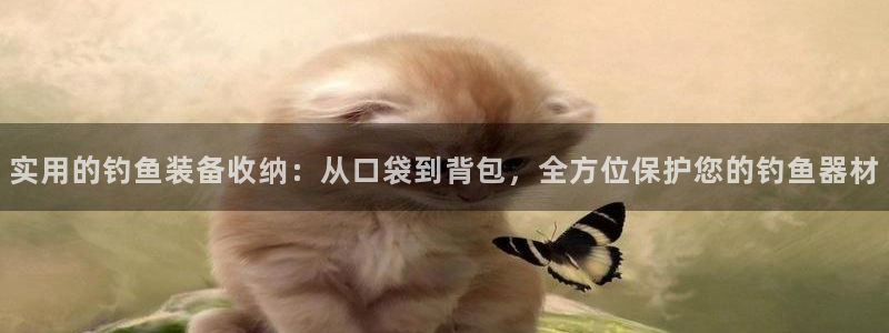 新宝gg代