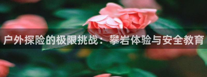行新宝gg