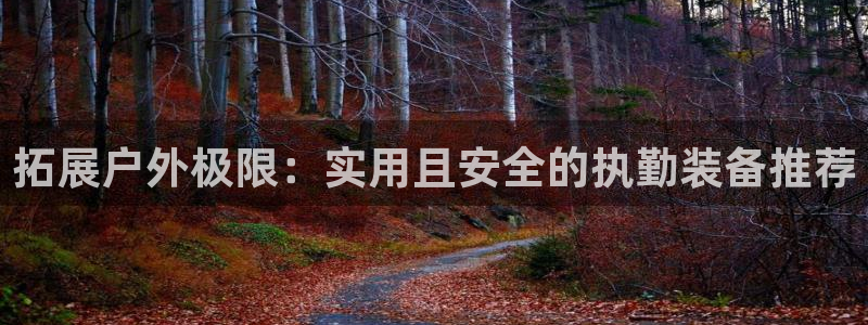 新宝gg技术