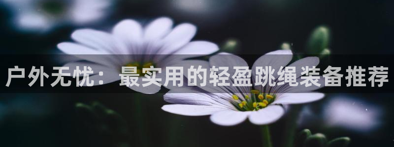 新宝 gg 登