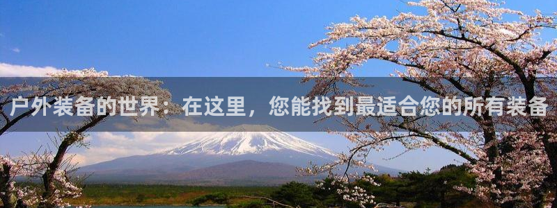 关于新宝GG