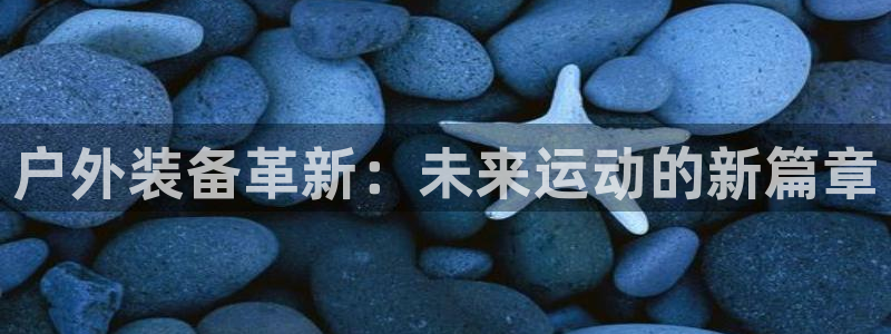 新宝gg黑平台