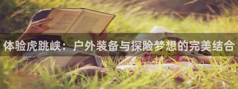 怎么代理新宝gg