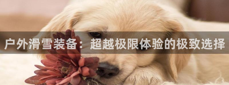 新宝gg平台反水