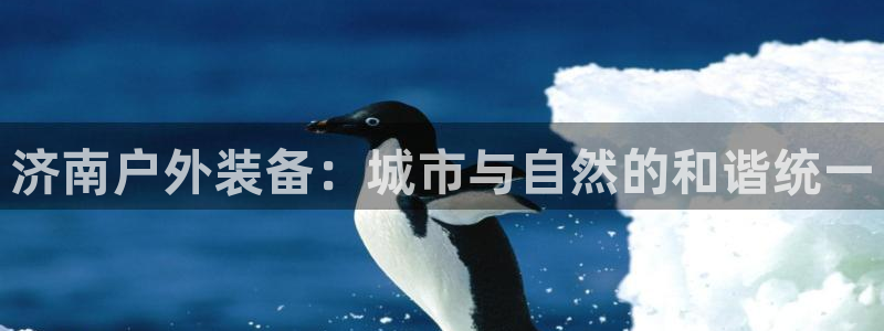 新宝gg手机app