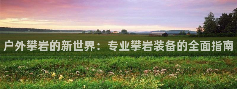新宝gg 主管
