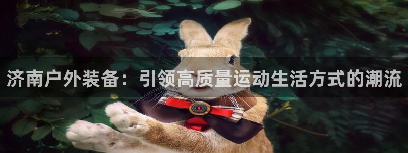 新宝gg待遇