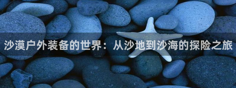 新宝gg总代理