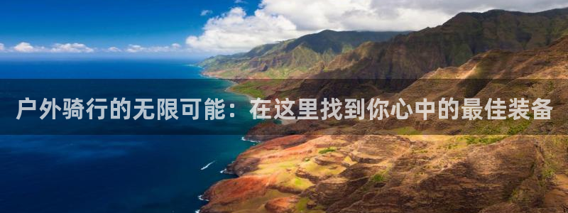 新宝 gg 总代理