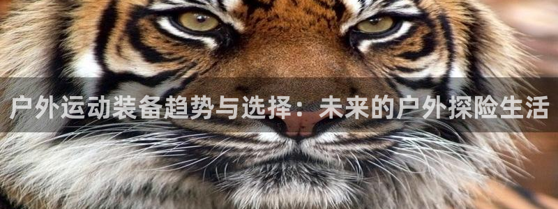 新宝gg怎么样