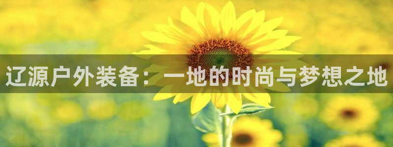 新宝gg试玩