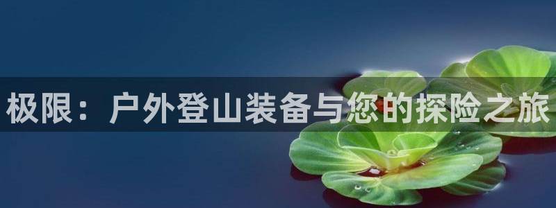 网站新宝GG