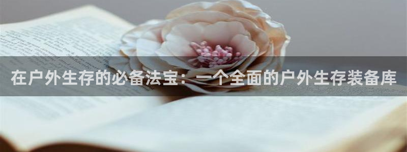 认准新宝gg
