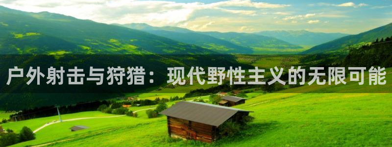 新宝gg地址新宝二