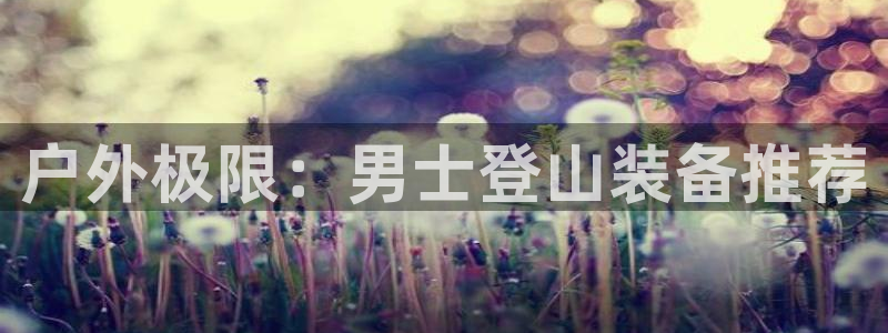 新宝g新宝gg