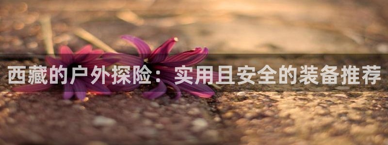 新宝gg账户注册