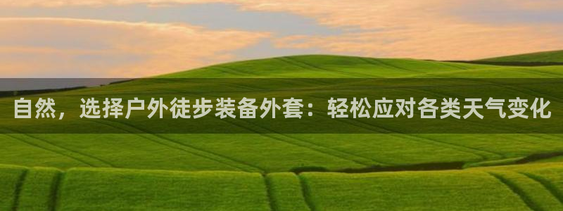 新宝六与新宝gg