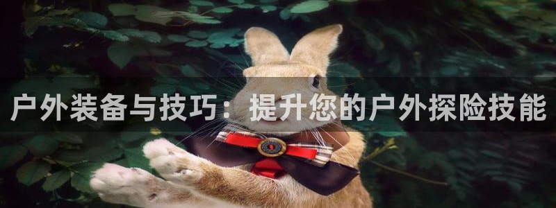 重庆新宝gg