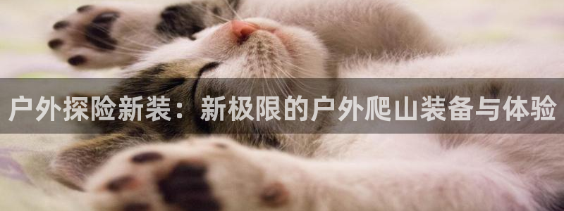 新宝gg手机登录