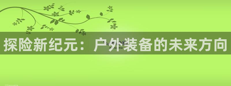 新宝gg类似