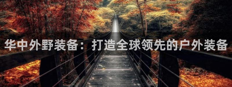 新宝gg登陆平台