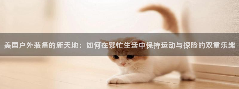 新宝gg__